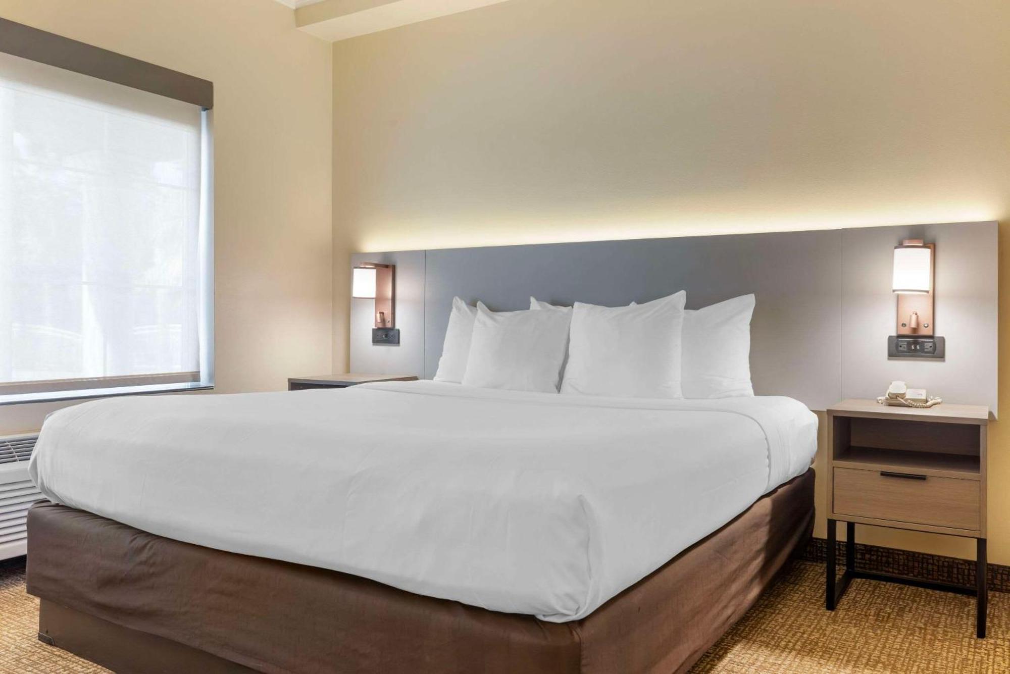 Comfort Suites Oceanside Camp Pendleton Area Εξωτερικό φωτογραφία